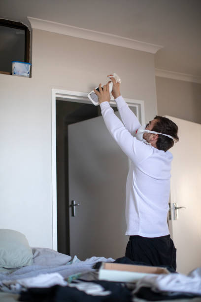  Canadian, TX Mold Removal Pros