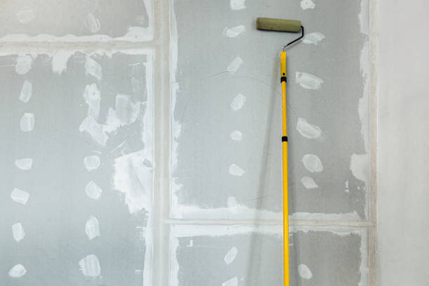 Best Comprehensive Air Testing for Mold Contaminants  in Canadian, TX