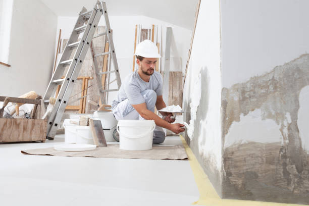 Best Mold Damage Restoration  in Canadian, TX