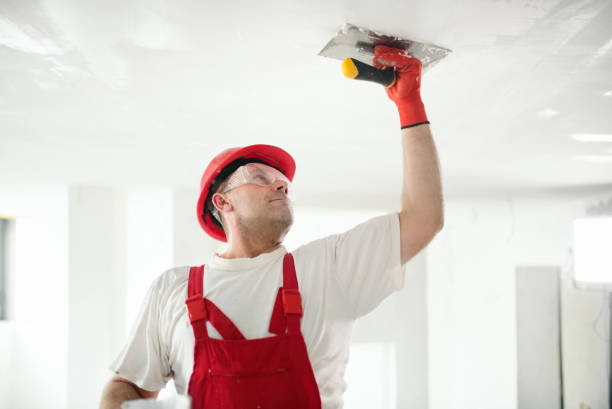 Best Basement Mold Removal  in Canadian, TX