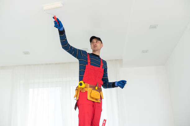 Best Attic Mold Removal  in Canadian, TX