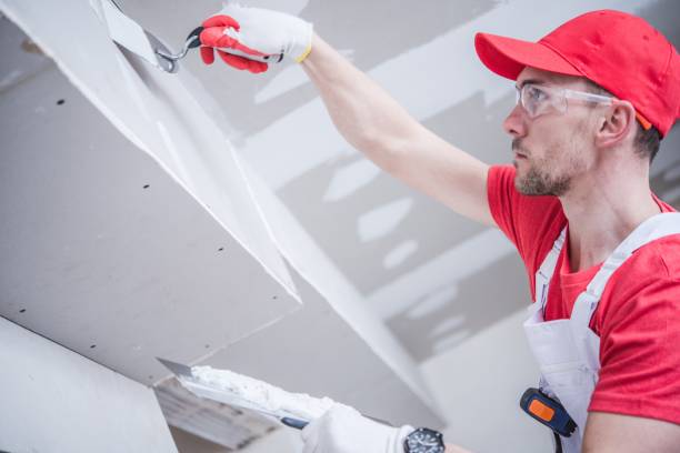 Best Airborne Mold Testing  in Canadian, TX